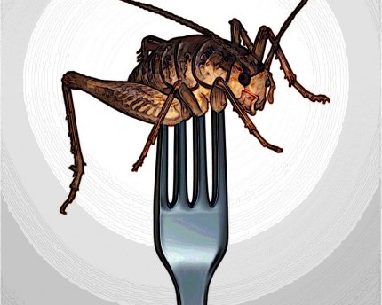 Eating insects has low environmental impact.